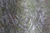 Upper Upham fibreglass roof work